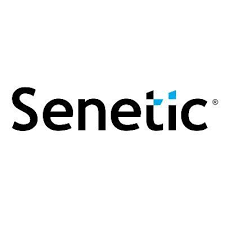 Senetic IT